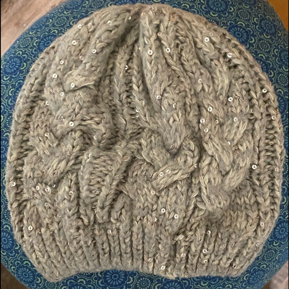 NWOT~Grey Women's Beanie